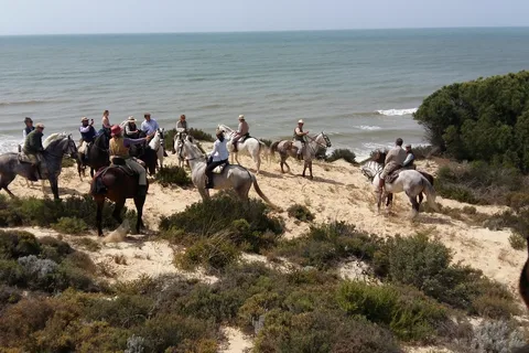 Ruta a Caballo por el Parque Nacional de Doñana