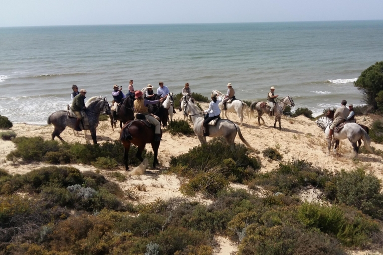 Randonnée à cheval dans le parc national de DoñanaCircuit en groupe partagé