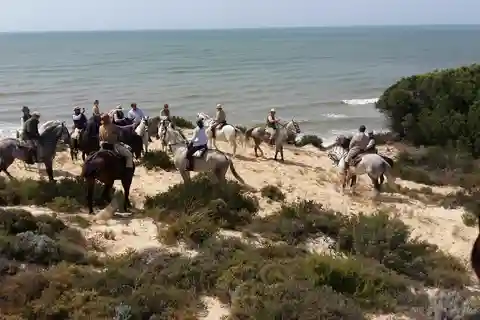Randonnée à cheval dans le parc national de Doñana