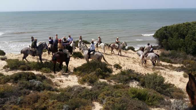 circuit déquitation dans le parc national de doñana