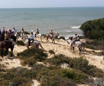 Horse-Riding Tour in Doñana National Park