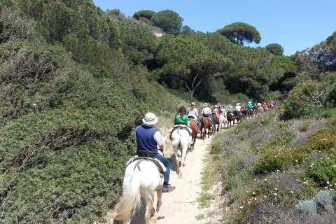 Ruta a Caballo por el Parque Nacional de DoñanaVisita en grupo compartido