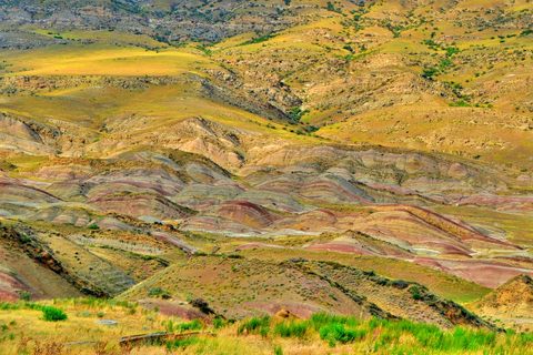 Depuis Tbilissi : Monastère David Gareji et dégustation de vins