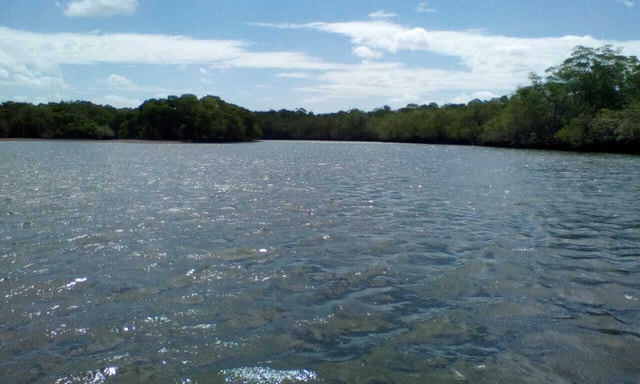 Visit Tamarindo Boat Safari at Las Baulas National Park in Tamarindo