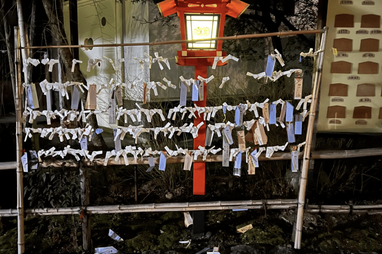 Kyoto: Tour notturno a piedi e gastronomico di Gion