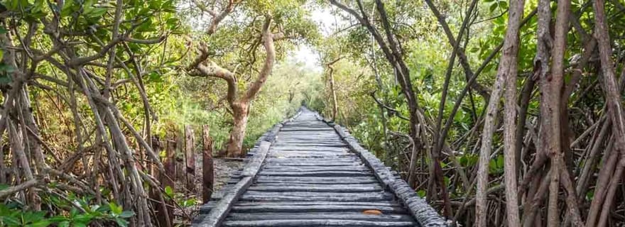 Depuis Pondichéry : visite d'une journée privée à Chidambaram !