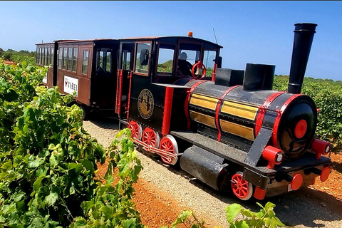 Bodegas Vi Rei: visita à vinha e passeio de comboio com degustação de vinhosTour guiado em alemão