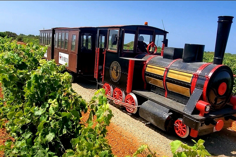 Bodegas Vi Rei: visita à vinha e passeio de comboio com degustação de vinhosTour guiado em alemão