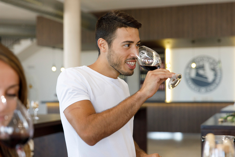 Bodegas Vi Rei: visita à vinha e passeio de comboio com degustação de vinhosTour guiado em alemão