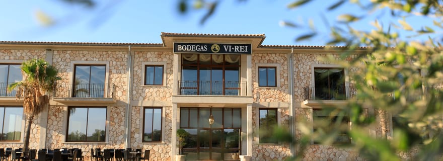 Bodegas Vi Rei : visite du vignoble et du train avec dégustation de vin
