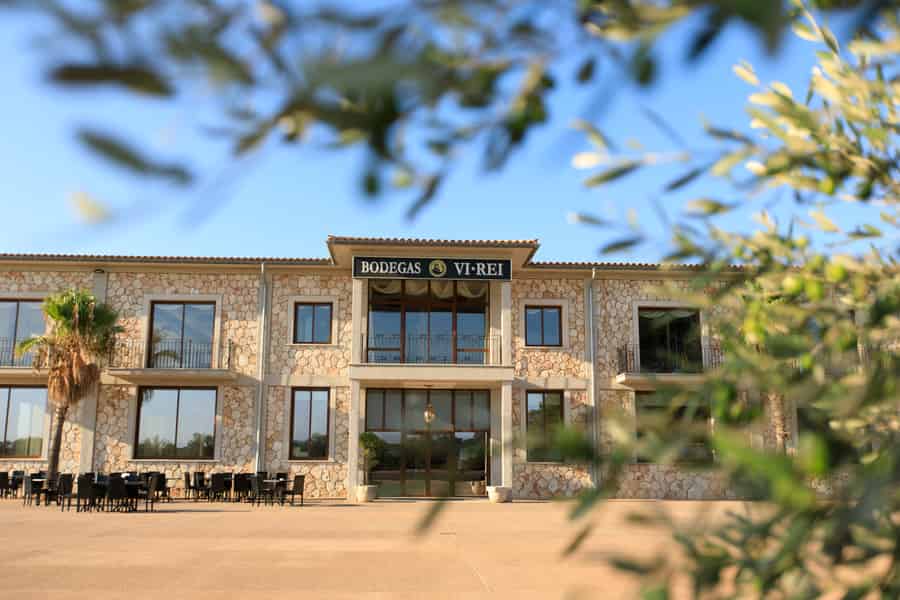 Bodegas Vi Rei: Weinberg- & Zug-Tour mit Weinprobe. Foto: GetYourGuide