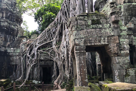 Angkor Wat, Bayon, Ta Prom and Banteay Srey Sunrise Tour