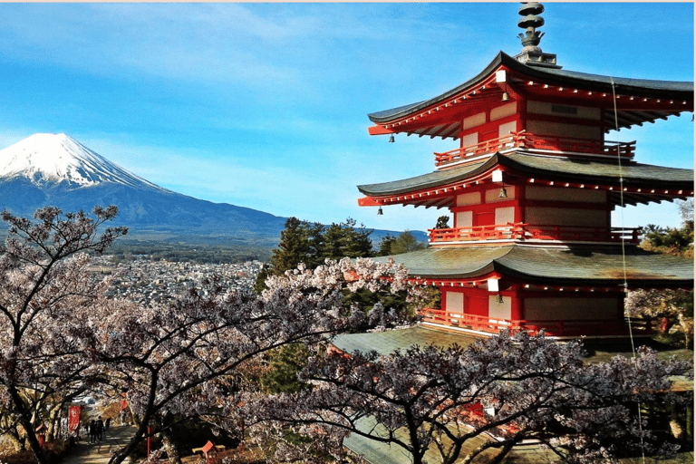 Mt Fuji Sightseeing Private tour with English Speaking Guide