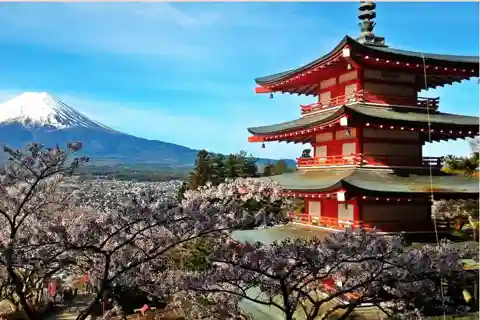 Mt. Fuji private day trip with an English speaking driver