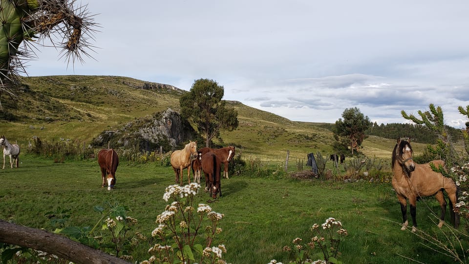 From Cusco, Huchuy Qosqo 2-Day Horse Riding Trip - Housity