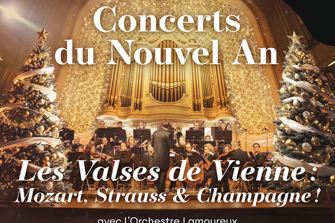 Paris: Experience an Exceptional New Year - Viennese Waltzes and Dinner at Gaveau