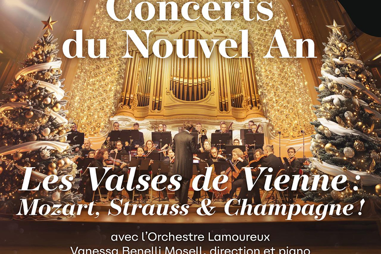 Paris: Experience an Exceptional New Year - Viennese Waltzes and Dinner at Gaveau