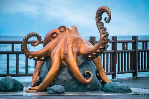 From Busan: Pohang Space Walk & Homigot Sunrise Plaza Tour Seomyeon Station, Exit 4