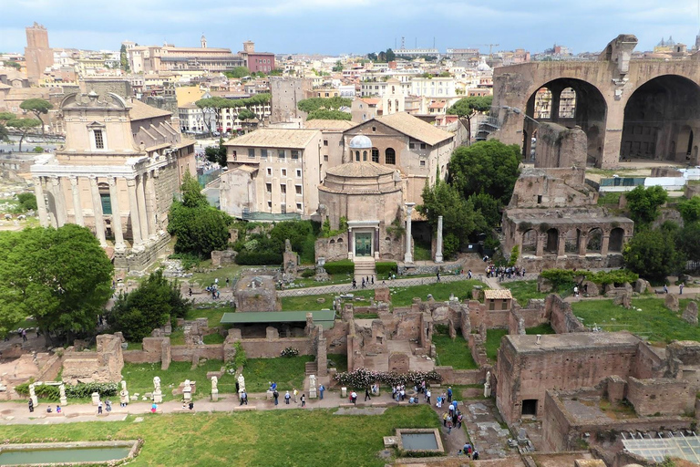 Salta la cola Coliseo, Palatino, Foro Romano Tour privadoSaltar la cola Coliseo, Palatino, Foro Romano Tour privado