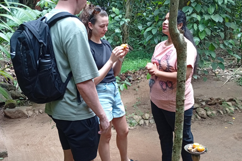 康提：香料园和手工艺人工作室嘟嘟车之旅