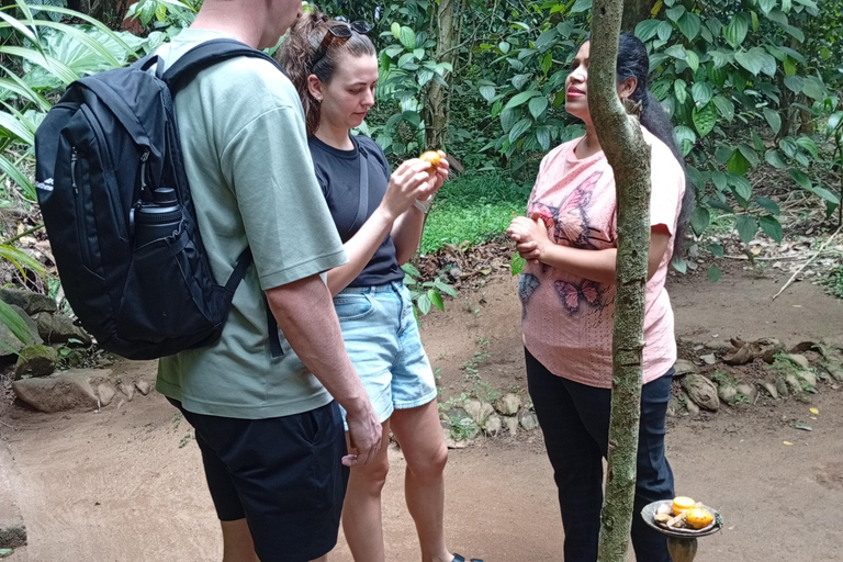 康提：香料园和手工艺人工作室嘟嘟车之旅