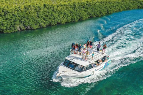 Cancun: MUSA Underwater Museum Snorkeling with Soft Drinks