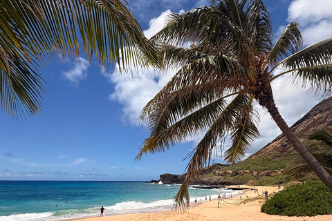 Oahu: Private Circle Island Tour – Your Group Only
