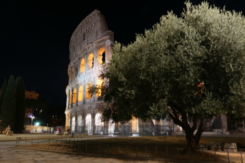 Rom: Wunder des alten Roms in der AbenddämmerungPrivate Tour auf Italienisch