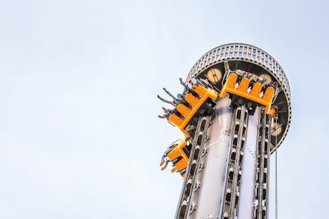 تذكرة دخول وليبي بلجيكامدخل وليبي بلجيكا - تذكرة الموسم العالي