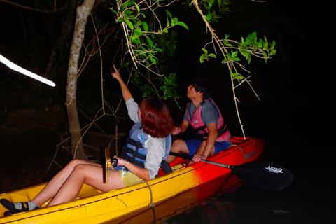 kadena 2hour night kayak tour