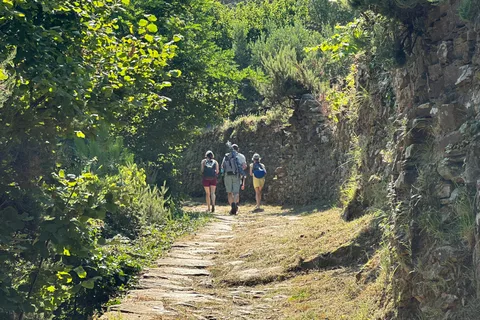 Escursione e degustazione di vini