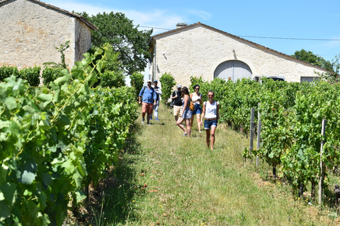 Desde Burdeos: tour guiado de comida y vino en Saint-Émilion