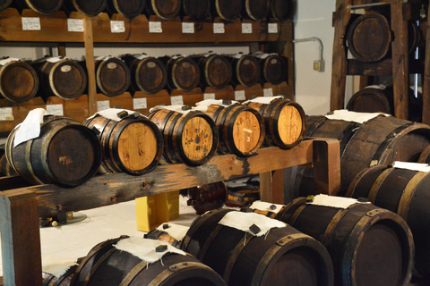 Modena: Balsamic Vinegar Tour and Tasting