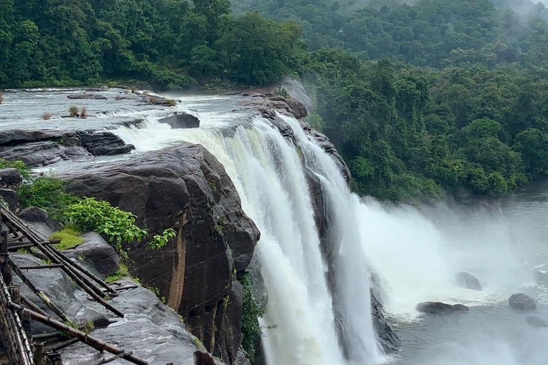 Kochi: Athirappilly Waterfalls Overnight Tour with Transfer