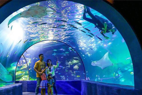 Angkor Wildlife & Aquarium Private Round-Trip Transfer Private Round-Trip Transfer by Tuk Tuk