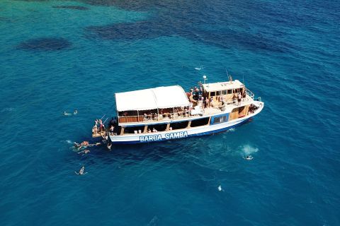 Palma di Maiorca: tour in barca della baia con snorkeling