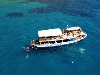 Palma de Mallorca: All-Inclusive-Bootserlebnis Palma de Mallorca: All-Inclusive-Bootserlebnis