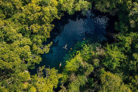 4 Cenotes Guided Tour with Food &amp; Beverages