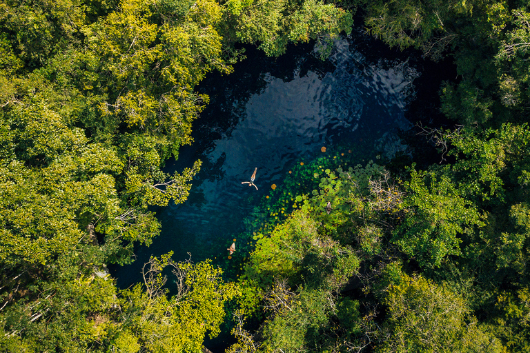 4 Cenotes Tour guidato con cibo e bevande