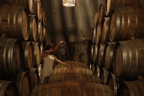 Douro-Tal: Weintour in Quinta do Tedo und VerkostungenQuinta do Tedo Winery Tour und Barrel Port Wine Tasting