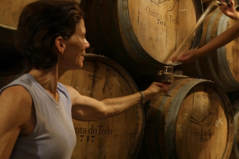 Douro-Tal: Weintour in Quinta do Tedo und VerkostungenQuinta do Tedo Winery Tour und Barrel Port Wine Tasting