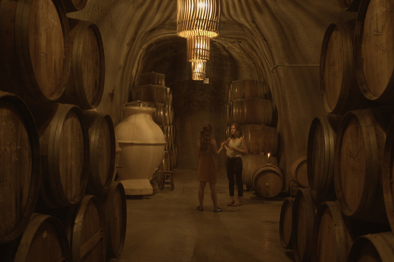 Douro-Tal: Weintour in Quinta do Tedo und VerkostungenQuinta do Tedo Winery Tour und Barrel Port Wine Tasting