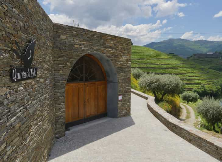 Douro Valley Winery Tour At Quinta Do Tedo And Tastings Getyourguide