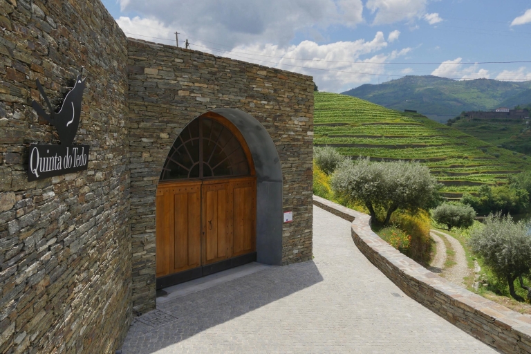 Dolina Douro: wycieczka po winnicy w Quinta do Tedo i degustacjeWycieczka po winnicy Quinta do Tedo i degustacja wina Tawny