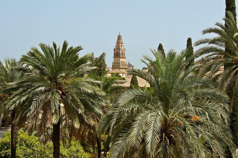 Cordoba Private Guided Walking Tour