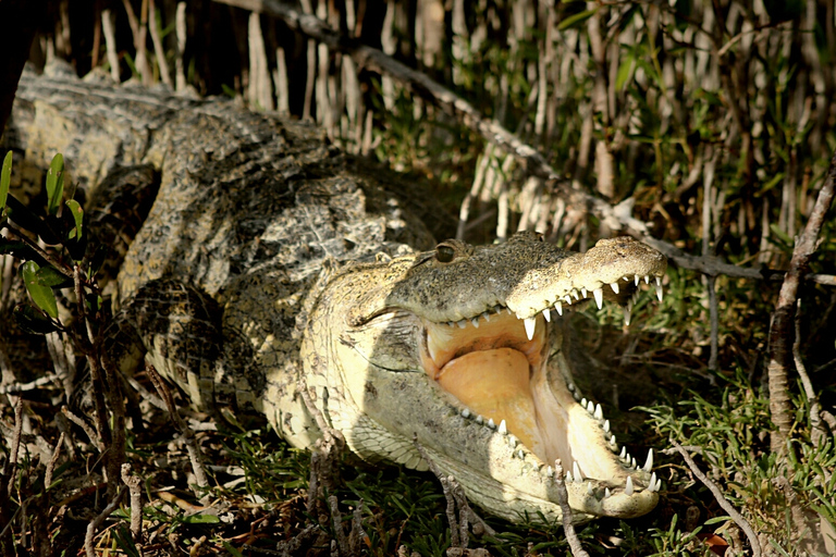 From Riviera Maya: Sian Ka'an Half Day Tour w/ Lunch From Riviera Maya: Sian Ka'an Discovery Tour with Lunch