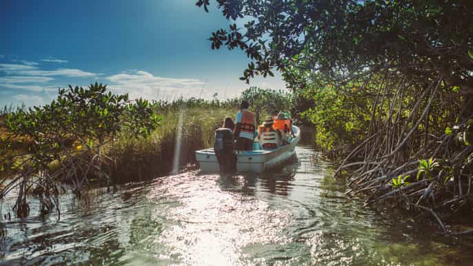 von der riviera maya sian kaan entdeckungstour mit mittagessen
