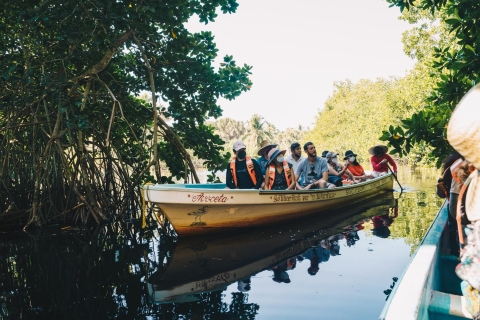 Puerto Escondido: écotour pour tortues et crocodiles de la côte d'Oaxaca