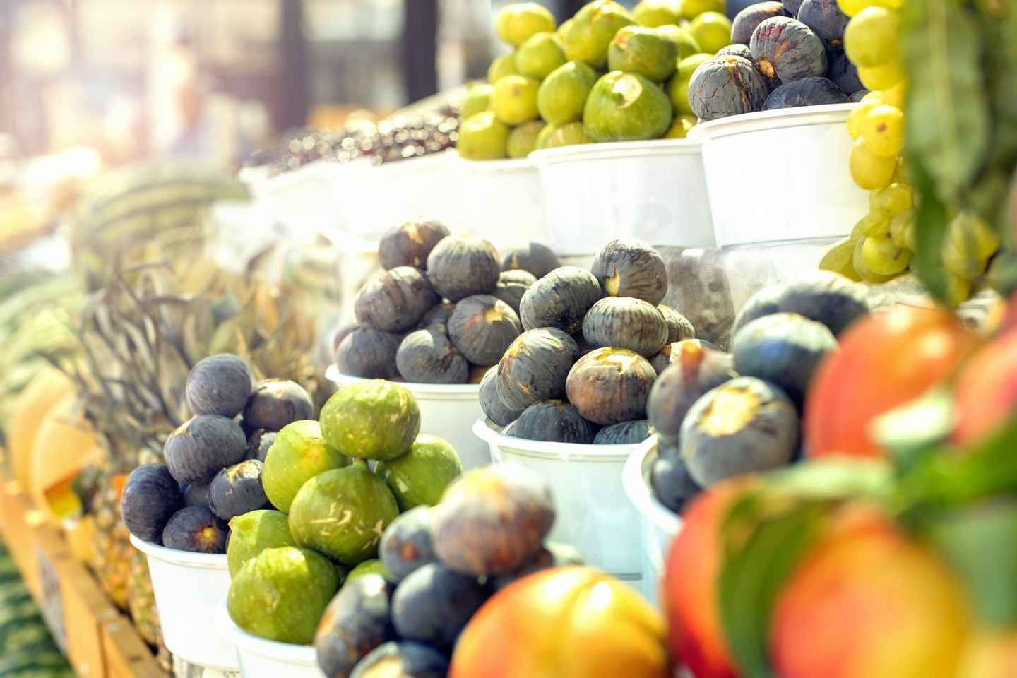 地拉那步行导览：含早餐午餐