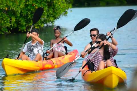 Mauritius: Amber Island Kayak or Small-Boat Tour with Lunch